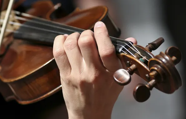 People, Violin, Strings