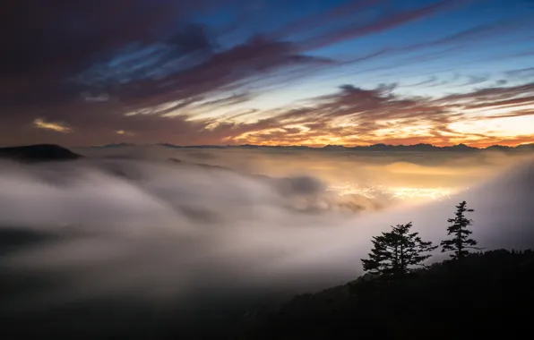 Picture the sky, sunset, fog