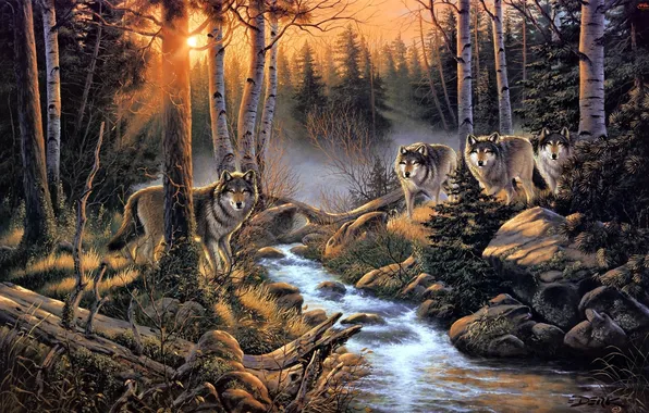 Forest, nature, stream, pack, art, wolves