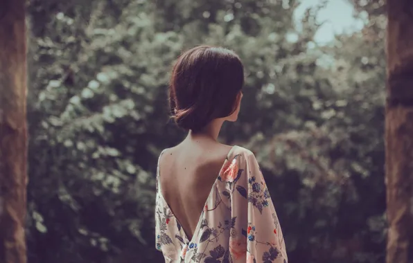 Picture girl, background, hair, back