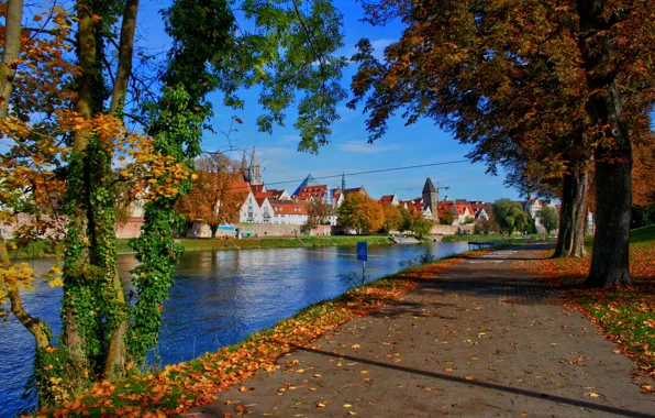 Road, trees, the city, river, Germany, Bayern, Neu-Ulm