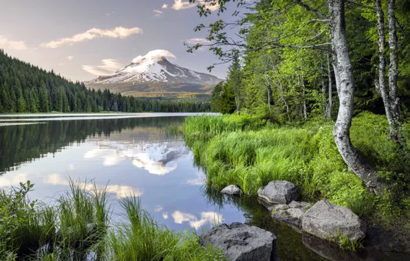 Forest, grass, clouds, mountains, lake, reflection, stones, shore
