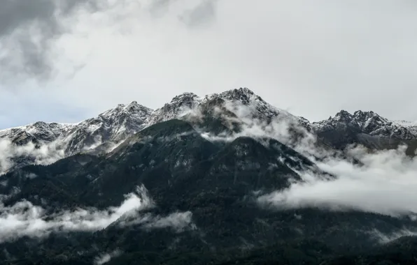 Picture the sky, clouds, trees, mountains, nature, fog, rocks