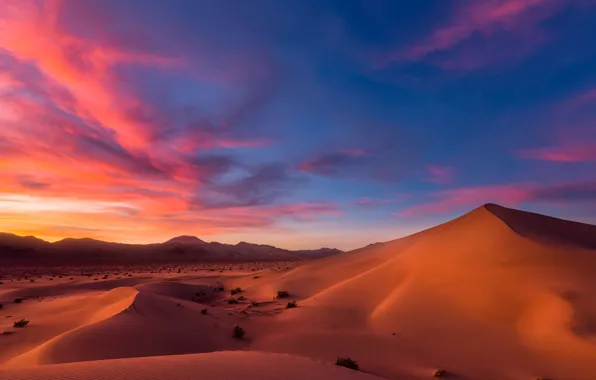 Sand, the sky, nature, desert, dunes