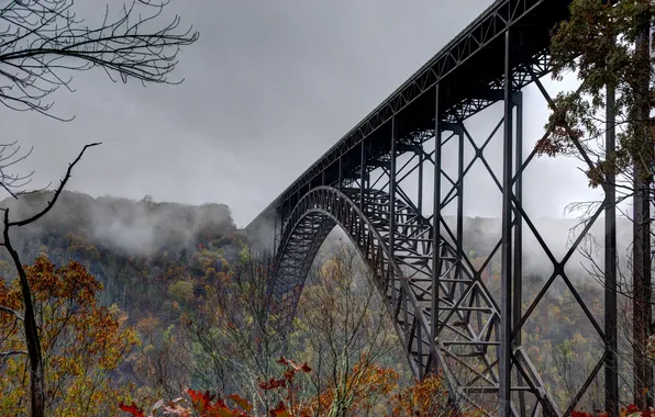 Autumn, trees, bridge, nature, with slightly overcast