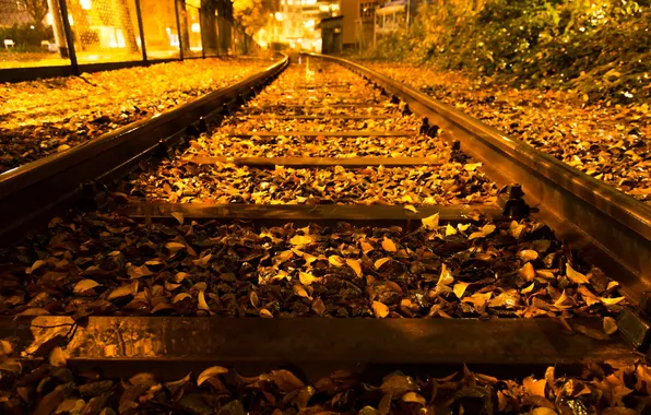 Picture autumn, night, the city, railroad