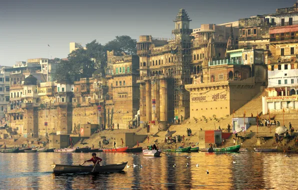 The city, seagulls, boats, India