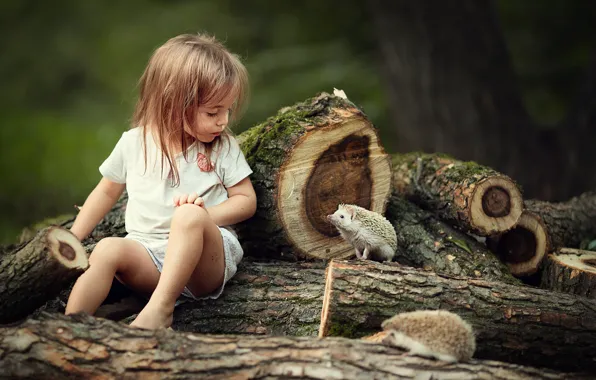 Picture animals, nature, girl, child, logs, hedgehogs, Jerzy, Marianne Smolin