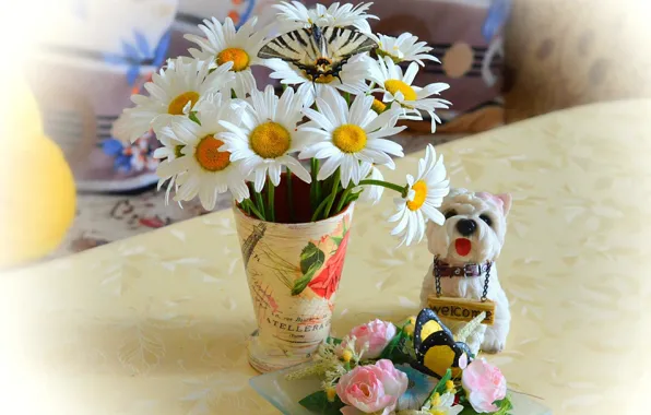 Picture Spring, Chamomile, Vase, Spring