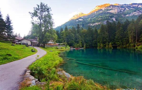 Picture forest, trees, mountains, lake, stones, rocks, shore, home