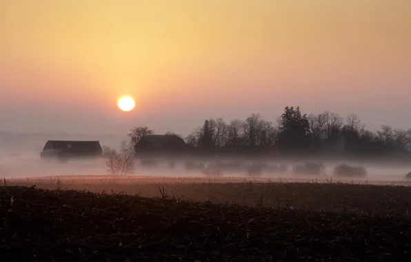 Picture field, landscape, sunset, fog, home
