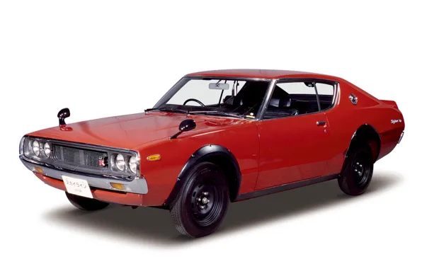 Picture GT-R, 1973, Nissan-Skyline, KPGC110