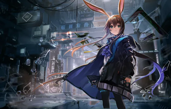 Girl, Animal Ears, Arknights, Amiya