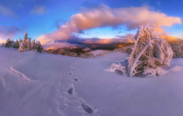 Picture winter, snow, landscape, mountains, traces, nature, Crimea, Demerdzhi