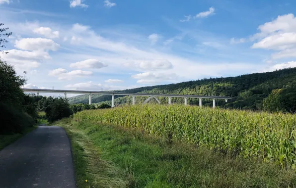 The sky, Clouds, Field, Road, Bridge, Grass, Hills, Corn