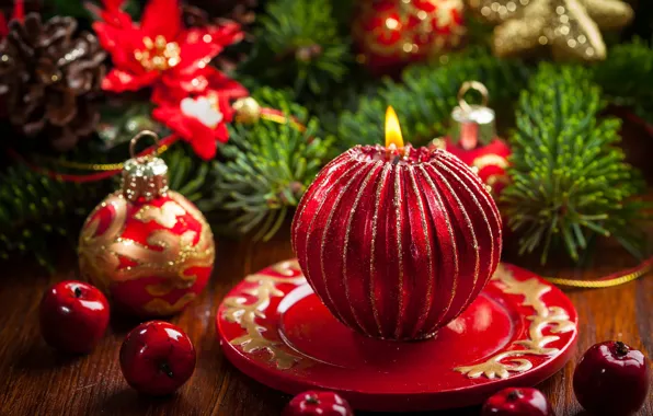 Branches, red, lights, holiday, balls, toy, tree, new year