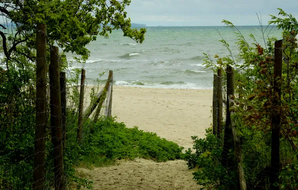 Beach, sea, ocean, water, sand, path