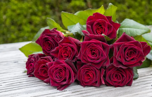 Leaves, flowers, Board, roses, bouquet, red, lies, raspberry