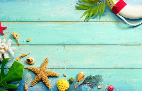 Beach, summer, stars, stay, shell, summer, beach, vacation