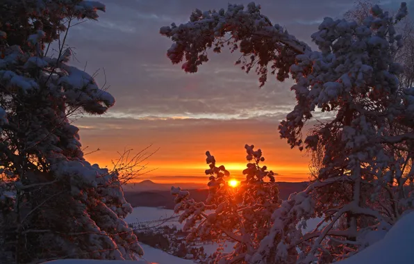 Winter, snow, trees, sunset, Germany, Germany, Saxony, Saxony