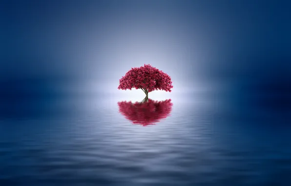 Picture lake, reflection, tree, paint, color, styling, Josep Sumalla
