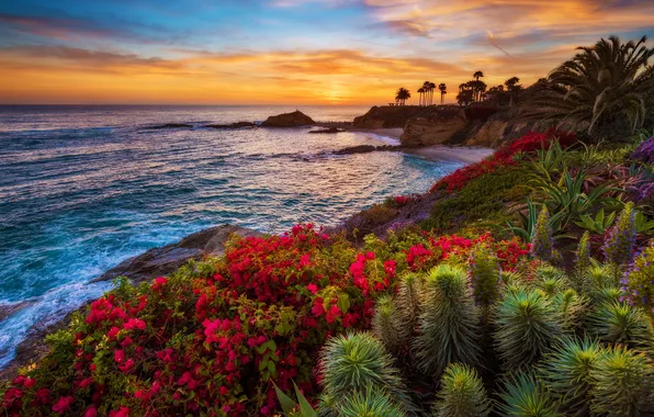 Picture sunset, California, Laguna Beach