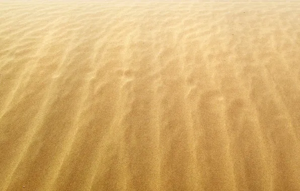 Sand, the wind, shore, coast, yellow, grit, Sands, beaches