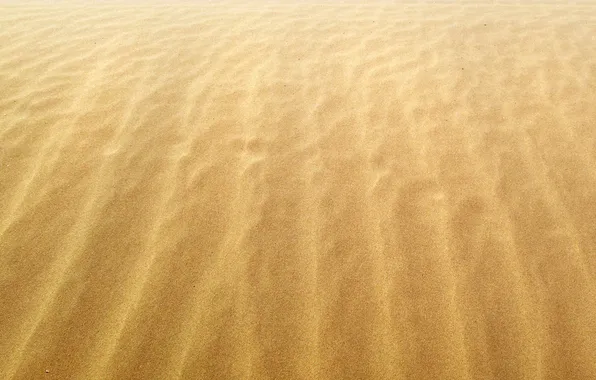 Picture sand, the wind, shore, coast, yellow, grit, Sands, beaches