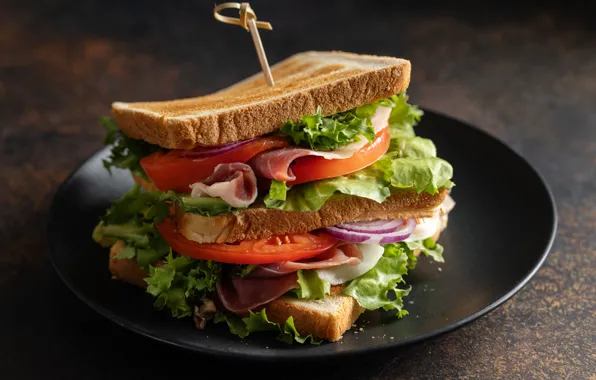 Food, bow, plate, bread, meat, sandwich, vegetables, tomatoes