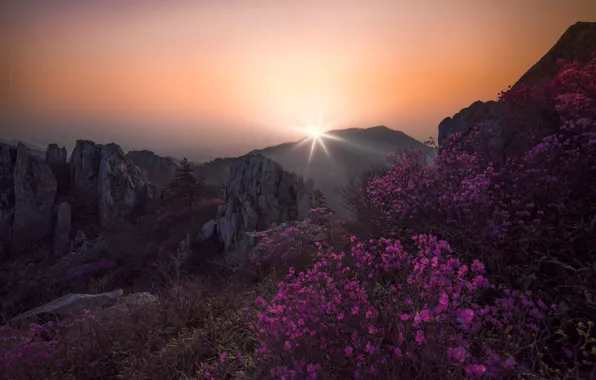 The sky, the sun, rays, mountains, fog, stones, rocks, dawn