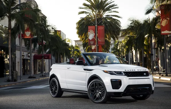 Picture the city, palm trees, street, Land Rover, Range Rover, convertible, Evoque, Ewok