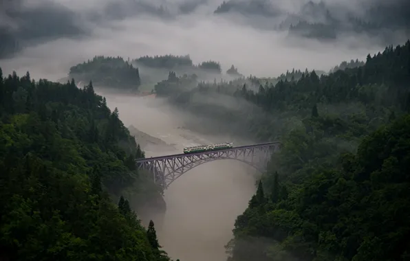 Forest, trees, bridge, fog, river, train, cars, haze