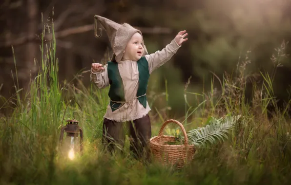Picture grass, joy, boy, lantern, dwarf