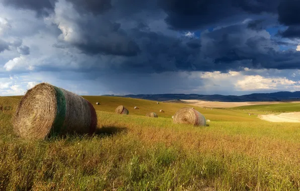 Field, summer, clouds, hay