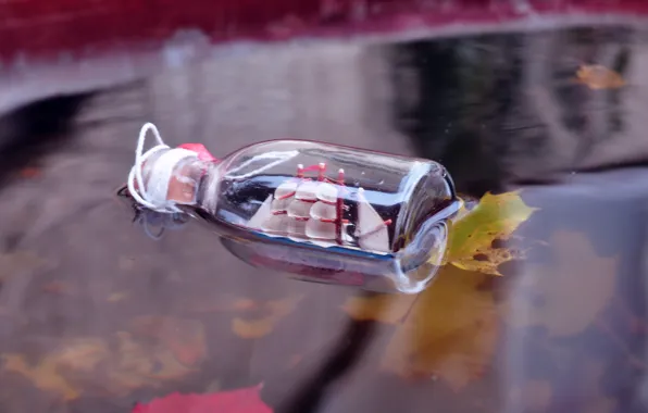 Leaves, river, ship, bottle