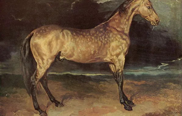 Picture the storm, grey, horse, picture, mane, Jean, Theodore, Louis