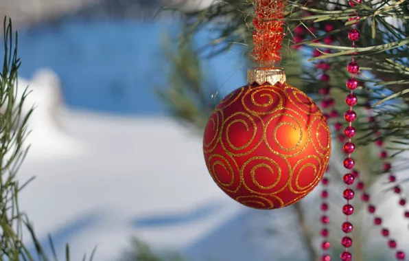 Picture winter, balls, snow, orange, branches, holiday, balls, new year