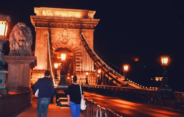 Water, light, night, bridge, city, the city, lights, river