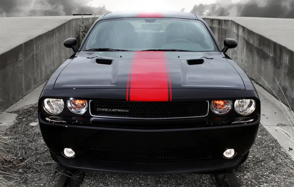 Picture car, car, 2012, Dodge, dodge, challenger, wallpapers, new