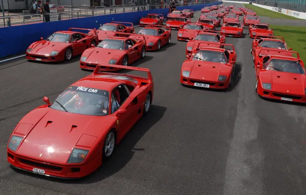 Red, Auto, Machine, Ferrari, Machine, Ferrari, F40, Track