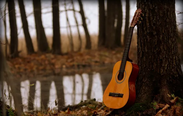 Picture trees, music, guitar