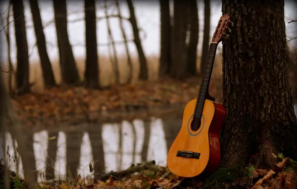 Picture music, tree, guitar