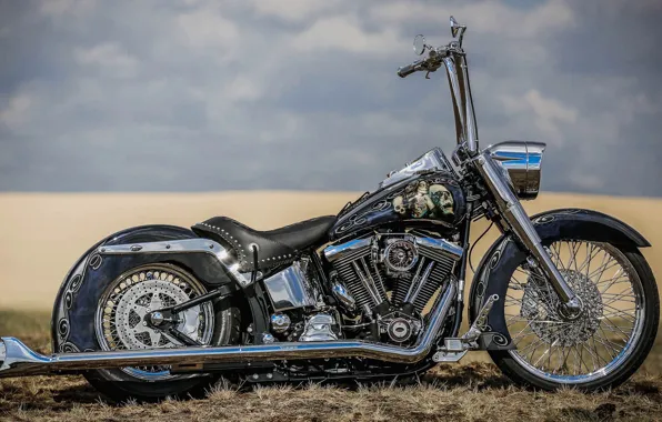 Wallpaper Harley Davidson, Harley-Davidson, Custom, Chrome, Motorcycle ...