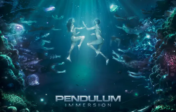 Pendulum, DnB, Immersion, AMD