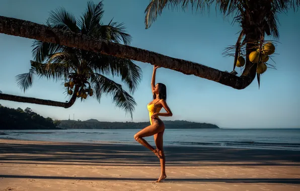 Sand, sea, beach, swimsuit, the sun, landscape, pose, palm trees