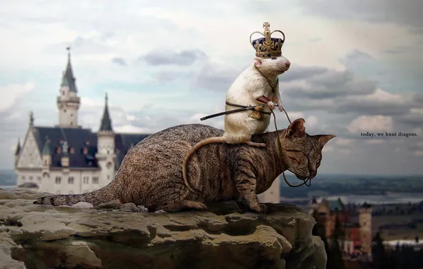 Picture the sky, cat, clouds, castle, crown, rat