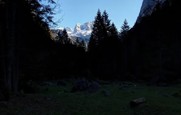 Forest, the sky, mountains, darkness, stones