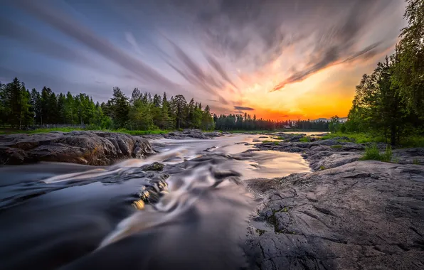 Nature, river, morning