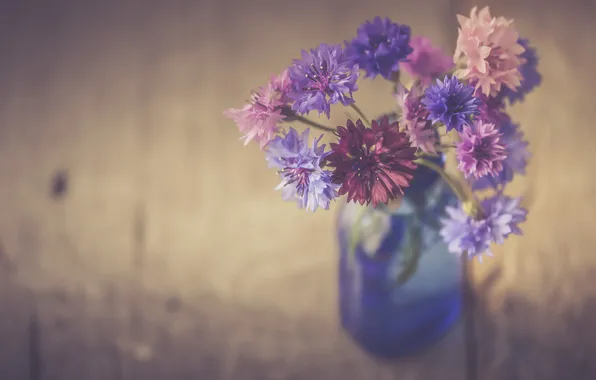 Picture water, flowers, bottle