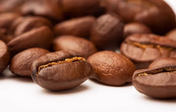 Picture macro, coffee, grain, beans, coffee